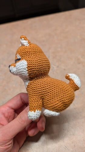 PXL_20251206_040243841