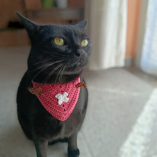 IMG20260404142312 (1)