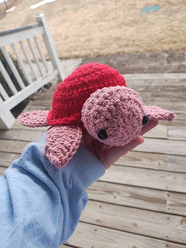 IMG_20260214_122309044