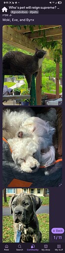 Screenshot_20250825_211145_Ribblr