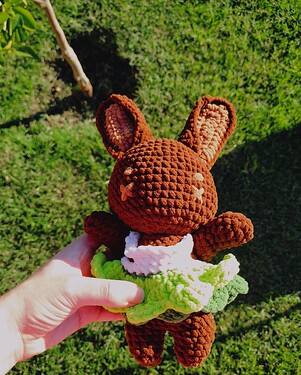 IMG_20251029_163727504