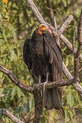 Screenshot 2025-11-01 202758