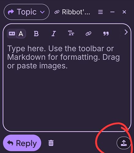 Screenshot_20260730_124830_Ribblr
