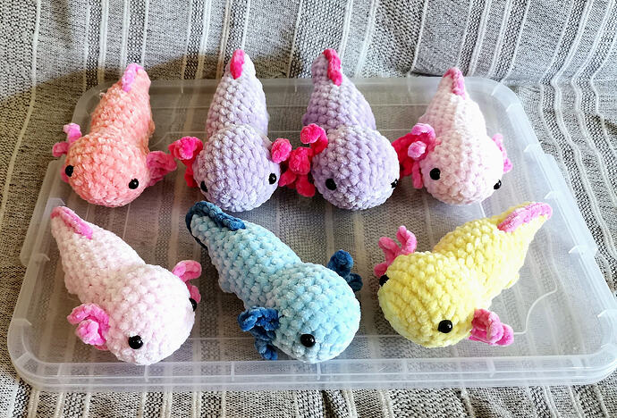 IMG-20251110-WA0025(1)