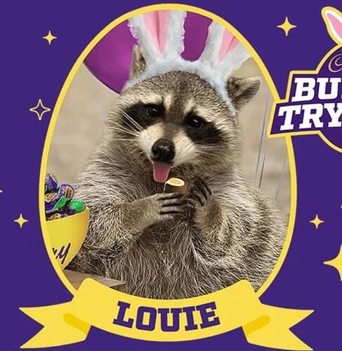 Screenshot_20250304_141707_Chrome