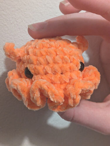 PXL_20260121_164717292.RAW-01.COVER