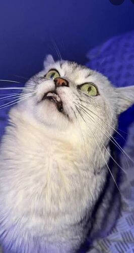 Screenshot_20260201-113141