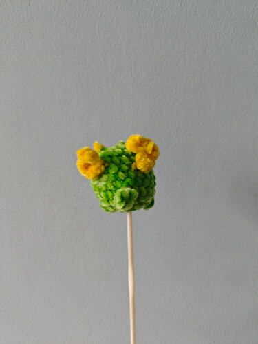 IMG_17673497807887642264536696199614