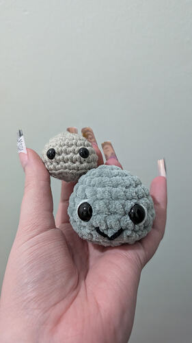 PXL_20260130_023651836.MP