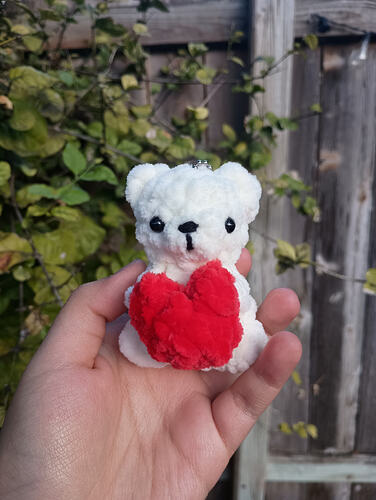 IMG_20260119_174334998