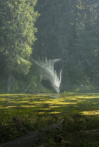 6e8ca08ae2b60ec29f43e2f11bc49d0e