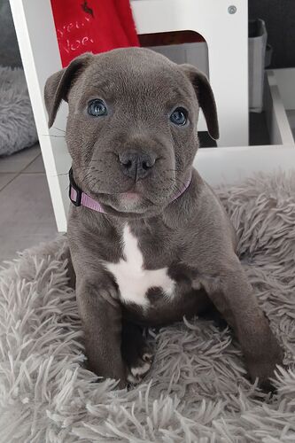 20251228_150110_025_saved