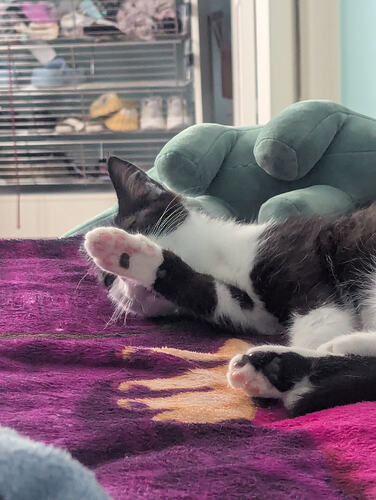 PXL_20260214_195702158.MP