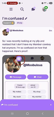 Screenshot_20261011_134814_Ribblr