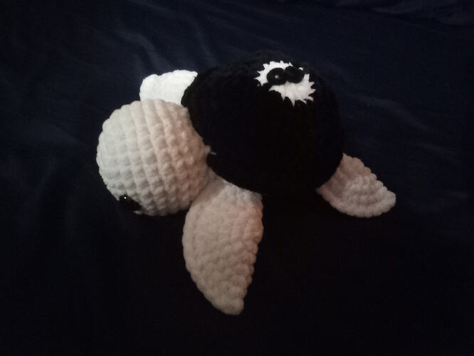 IMG_20260115_151722_396