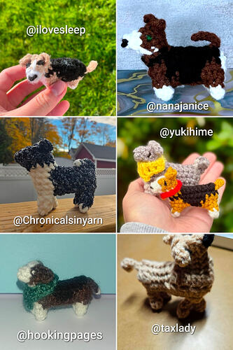 20251201_174853-COLLAGE