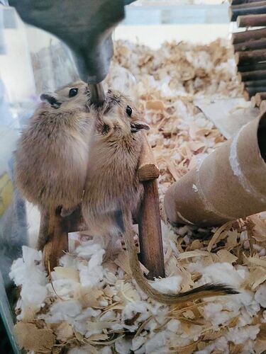 image000006
