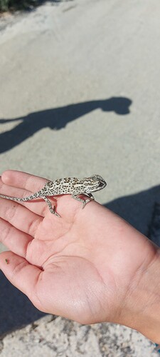 IMG_20251025_173148_570