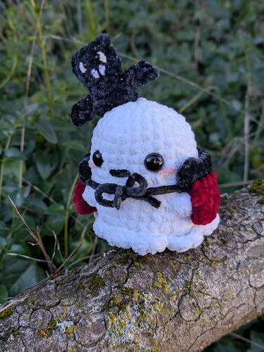 PXL_20260225_000631256.PORTRAIT