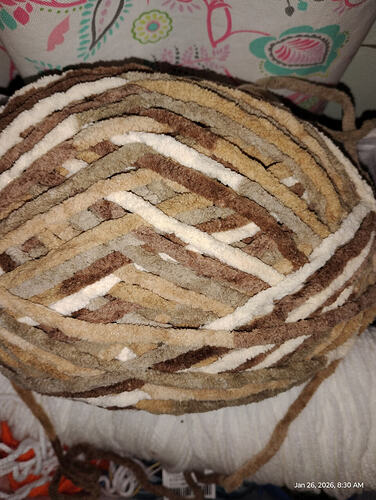 IMG_17694341971102780349356644622110