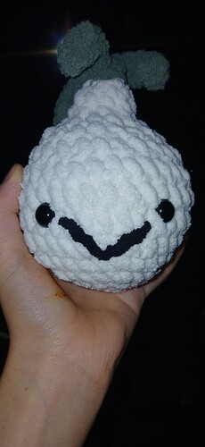 IMG_17574288117166345017259575995145