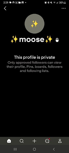 Screenshot_20250420_142935_Pinterest