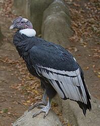 Screenshot 2025-11-01 202833