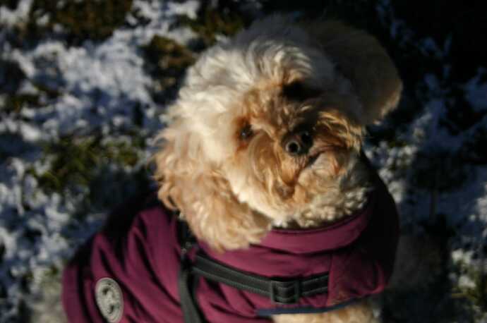 IMG-20250109-WA0059