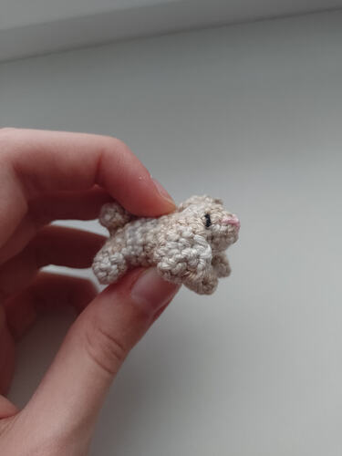 IMG_20260201_145613_278