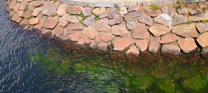 IMG_20250826_134623557_HDR_AE