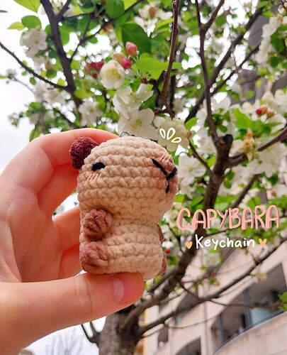 Capybara 1