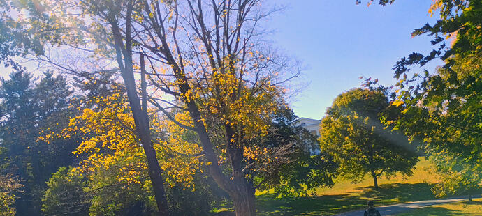 IMG_20251009_143154888_HDR_AE