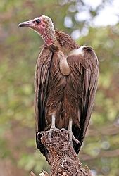 Screenshot 2025-11-01 202521