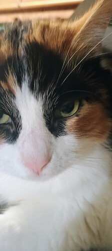 IMG_20250714_135122663_MP_AE