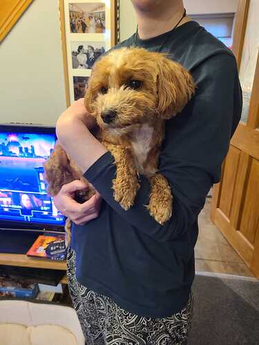 IMG-20250412-WA0001