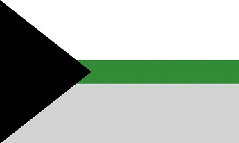 Demiromantic Flag