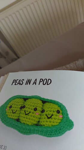 17480777591814699379872675083349