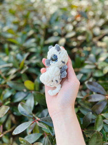 Image_20260214_112418_613