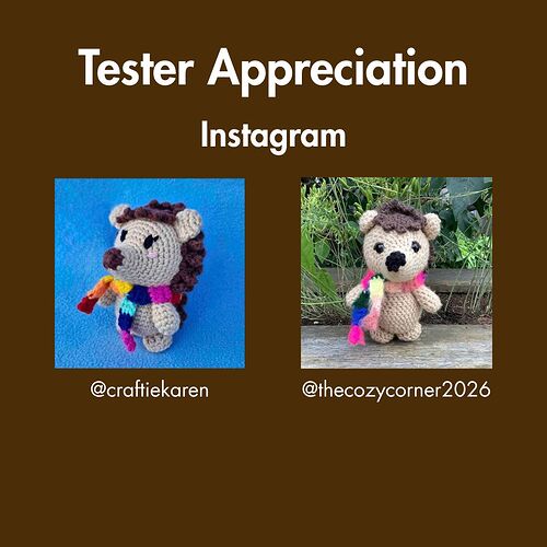 Naomi The Neon Hedgehog Crochet Pattern_ Tester Appreciation 1