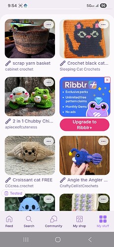 Screenshot_20250820_095437_Ribblr