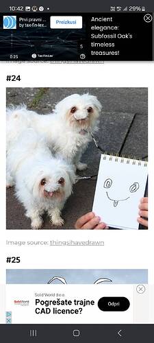 signal-2024-05-11-10-43-01-179-20