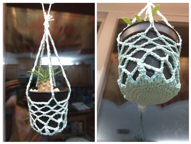 20251129_171735-COLLAGE