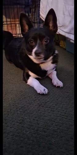 Screenshot_20260215-085020