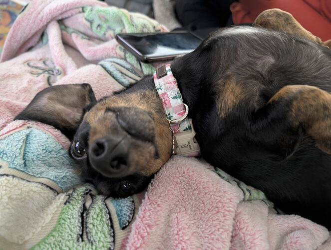 PXL_20260107_213806592