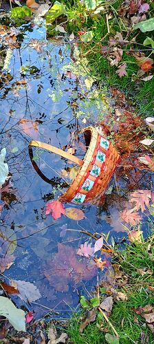 IMG_20251102_135300370_HDR_AE