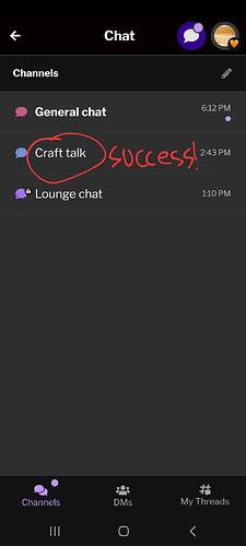Screenshot_20250116_181501_Ribblr