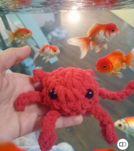 BeautyPlus_20260110203808854_save