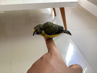 IMG_0024