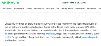 Screenshot 2025-11-01 231117