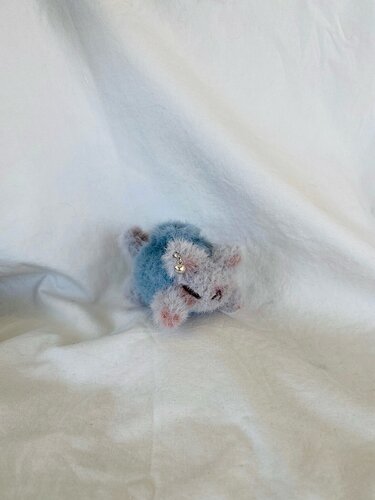 Lil kitty